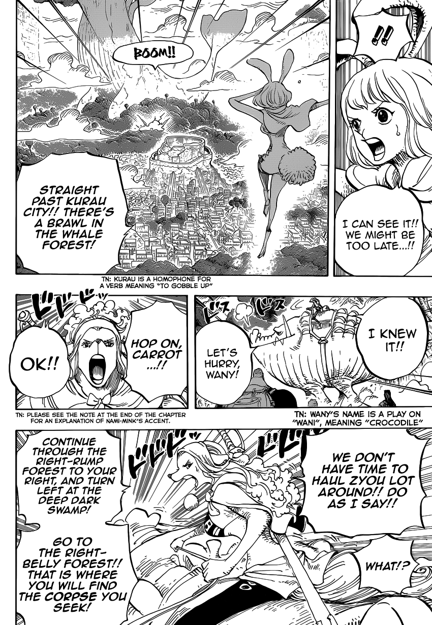 One Piece, Chapter 805 image 05